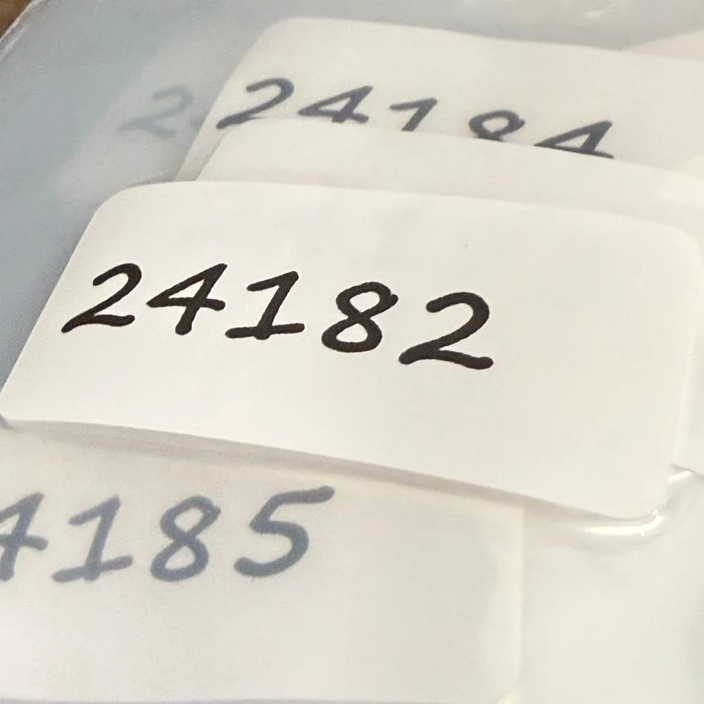 Via Spiga Paola 550 Sunglasses Tortoise Blue Square Frames Zyloware 140mm